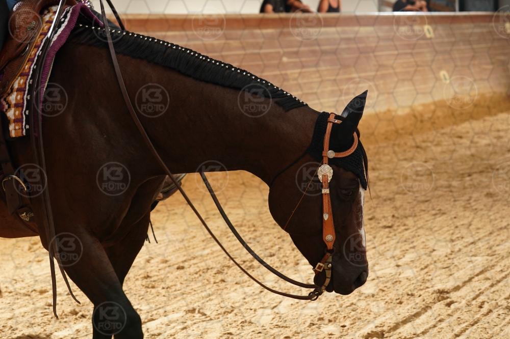 s_A9_09079.jpg